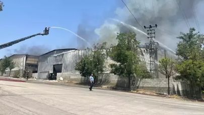 Gaziantep'te halı fabrikasında yangın