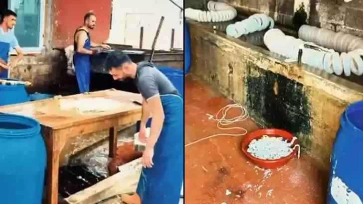 Ruhsatsız işletmede kilolarca paça ve bağırsak ele geçirildi