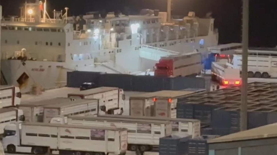 "Yüzen Ahır" yine Bandırma’da: Çelebi Limanı’na tepkiler büyüyor