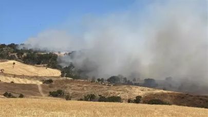 Çanakkale'de tarım arazisinde yangın