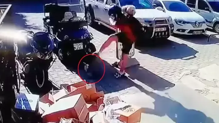 Kediyi tekmeledi tutuklandı