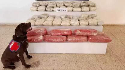 Van'da arazide 61 kilo skunk ele geçirildi; 1 gözaltı