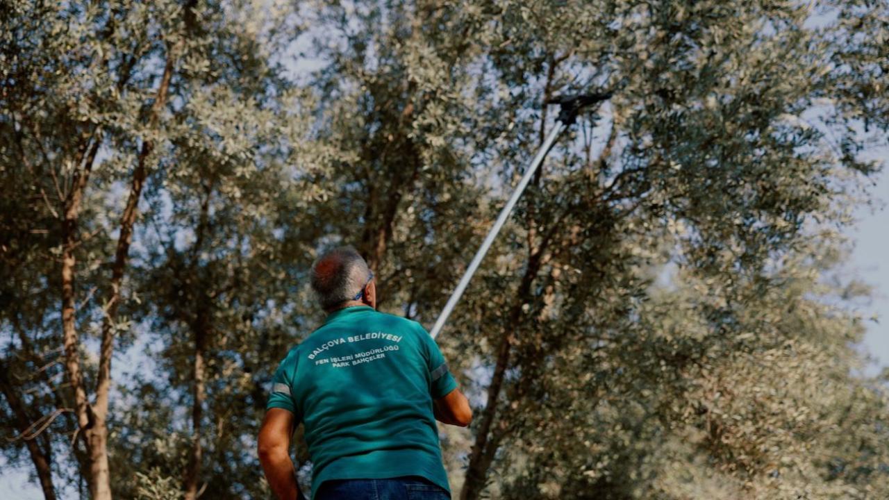 Balçova Belediyesi'nden kentin bereketine sahip çıkan örnek çalışma