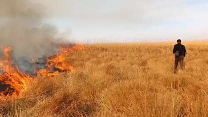Nehil Sazlığı'ndaki yangına helikopterle müdahale