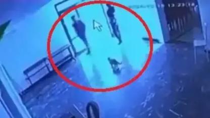 Belediyeye ait tesiste kediye tekmeli müdahale