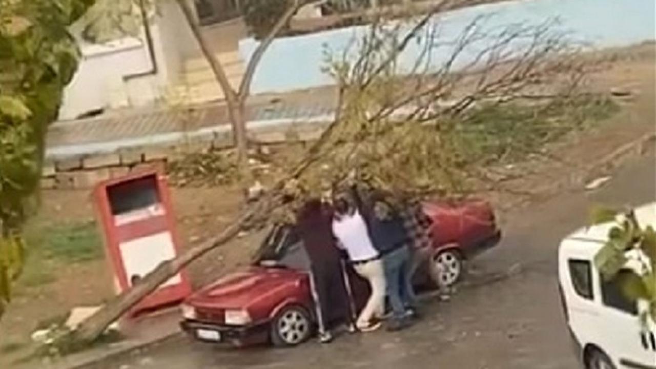 Otomatik Taslak