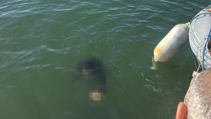 Denize düşen engelli vatandaş kurtarılamadı