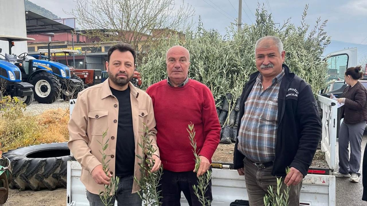 Bayındır’da üreticilere zeytin fidanı desteği