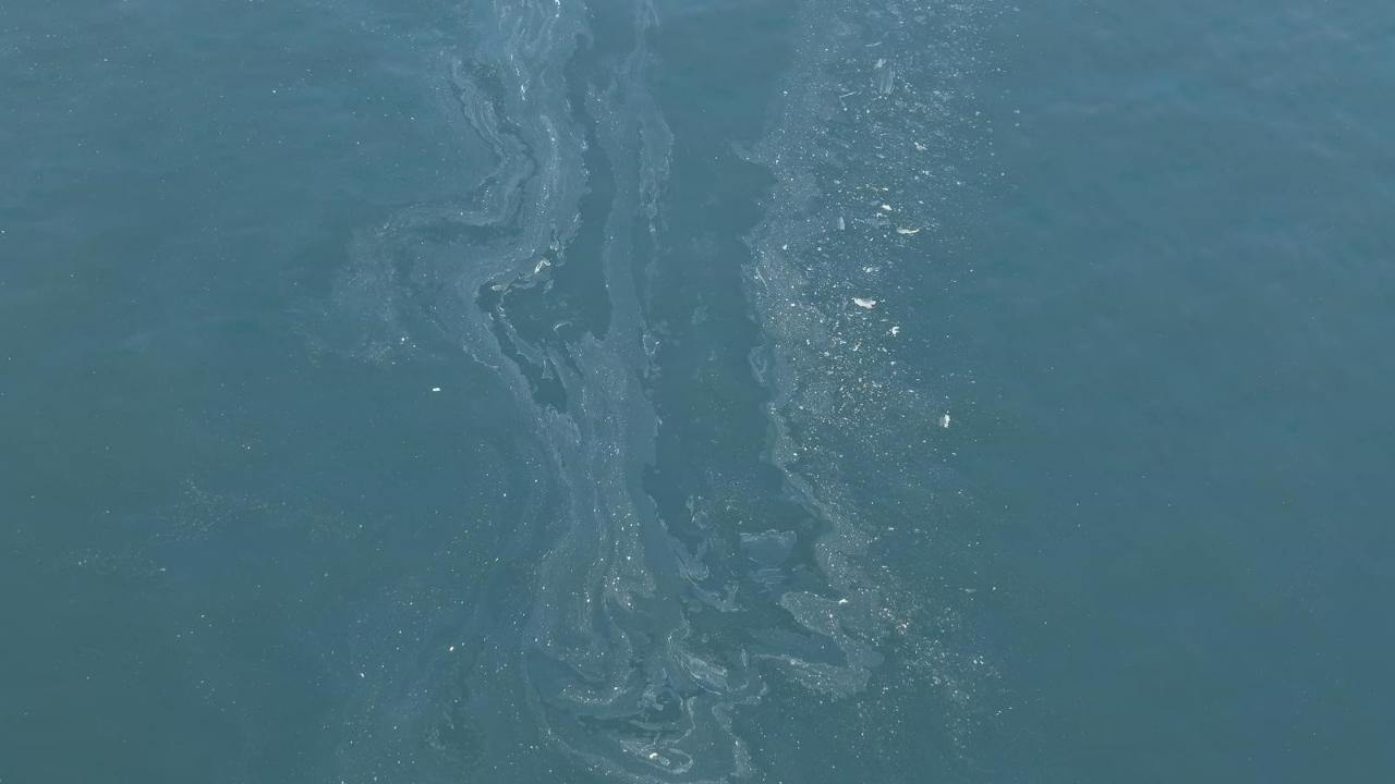 İzmir Körfezi'nde yine kirlilik tespit edildi