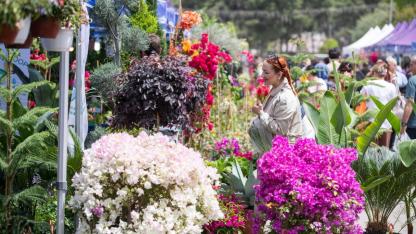 Çiçek gibi İzmir: Balkon ve Bahçe Bitkileri Festivali