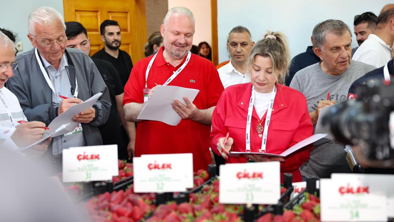 Çilek tadında festival, milyonu aşkın misafir ağırladı
