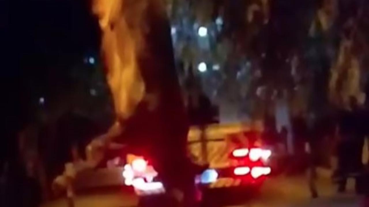 Dereye düşen kurbanlık dana vinçle kurtarıldı