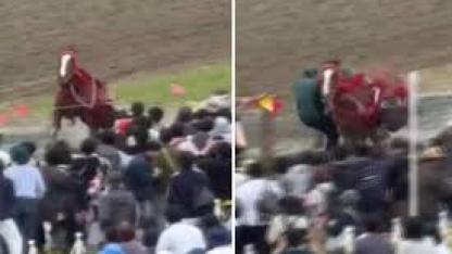 Japonya’da festivalde at kalabalığın arasına daldı