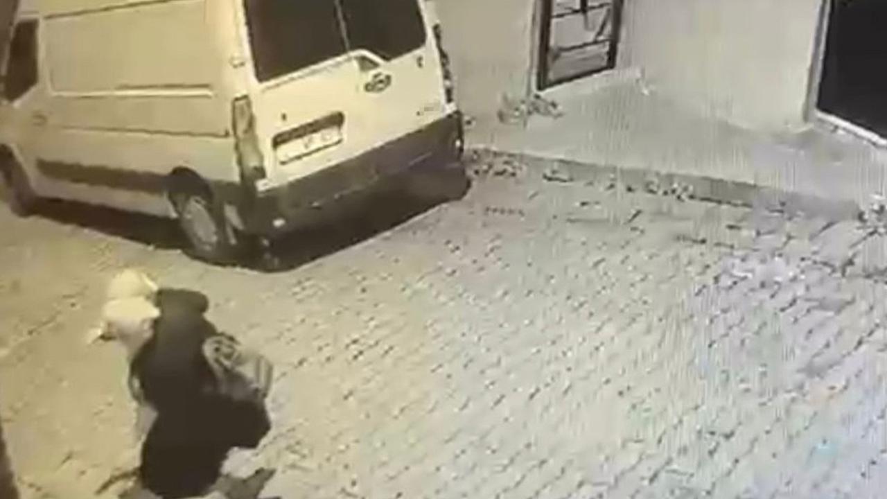 Otomatik Taslak