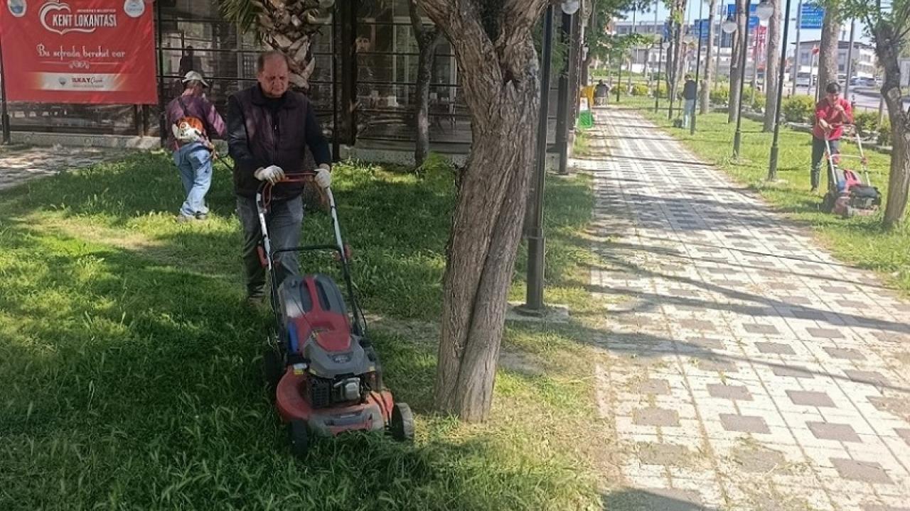 Menderes’te Ot Seferberliği