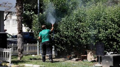 Balçova'da haşerelere karşı kapsamlı mücadele