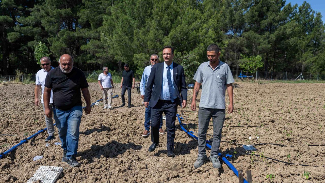 Bornova’da atıl topraklar hayat buluyor