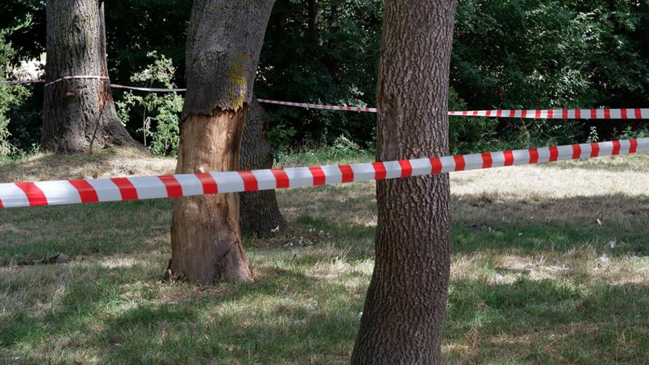 İstanbul Valiliği’nden ormanlara giriş kısıtlaması kararı
