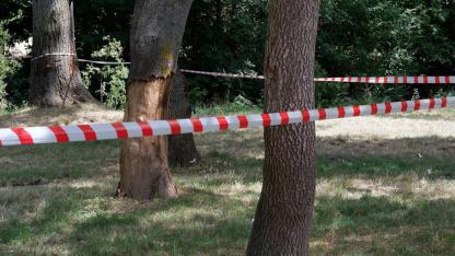 İstanbul Valiliği’nden ormanlara giriş kısıtlaması kararı