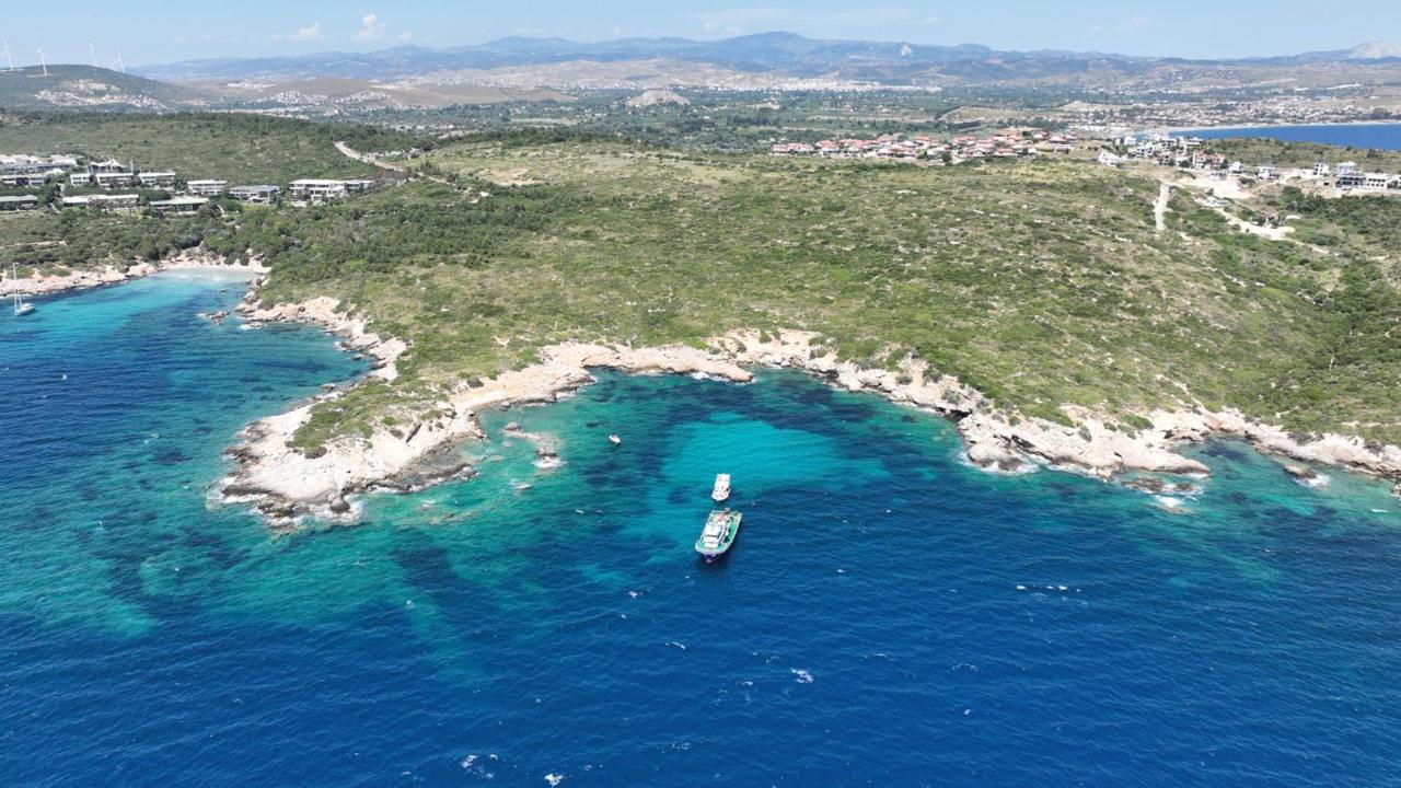 Midye kabukları deniz yaşamına nefes olacak