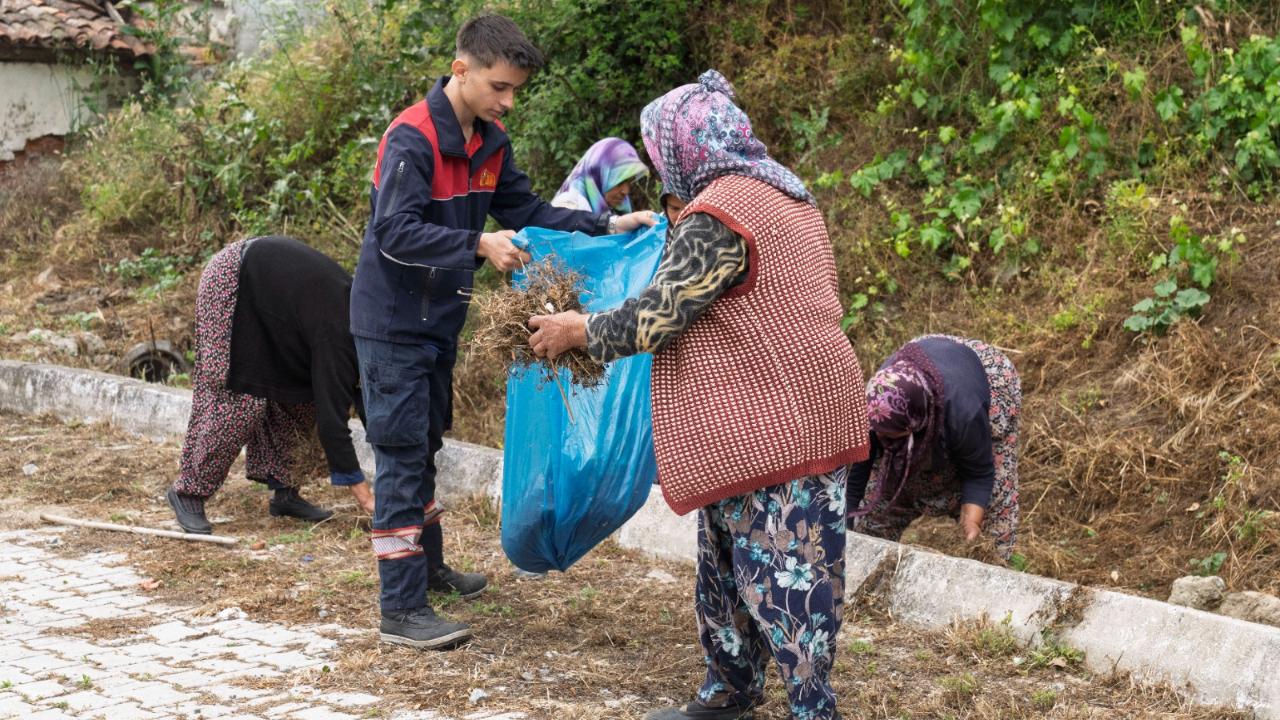 Traktörler hazır gözler ormanda