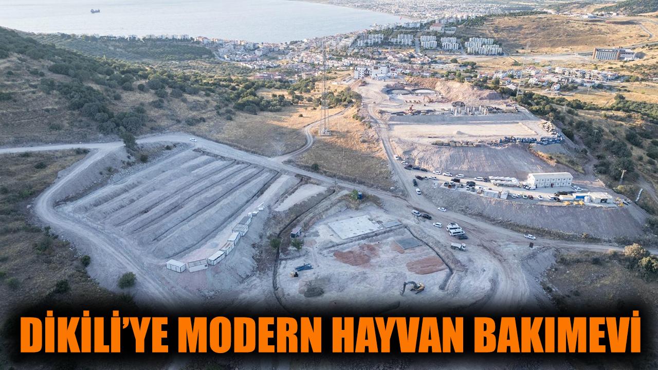 Dikili’ye modern hayvan bakımevi