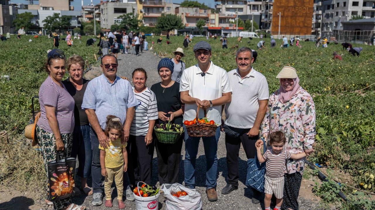 Doğanlar Kent Bostanı’nda hasat heyecanı