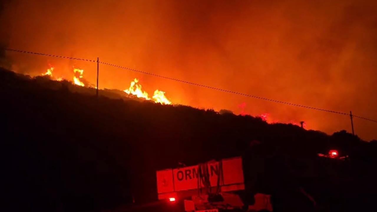 İzmir'de makilik alandaki yangın kontrol altında