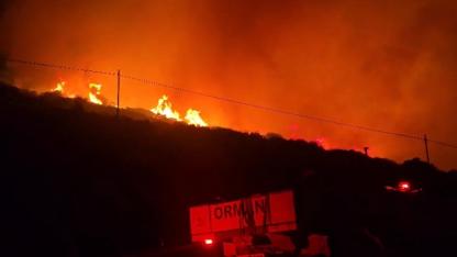 İzmir'de makilik alandaki yangın kontrol altında