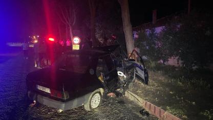 Sokak köpeğinden kaçmak isteyen otomobil ağaca çarptı