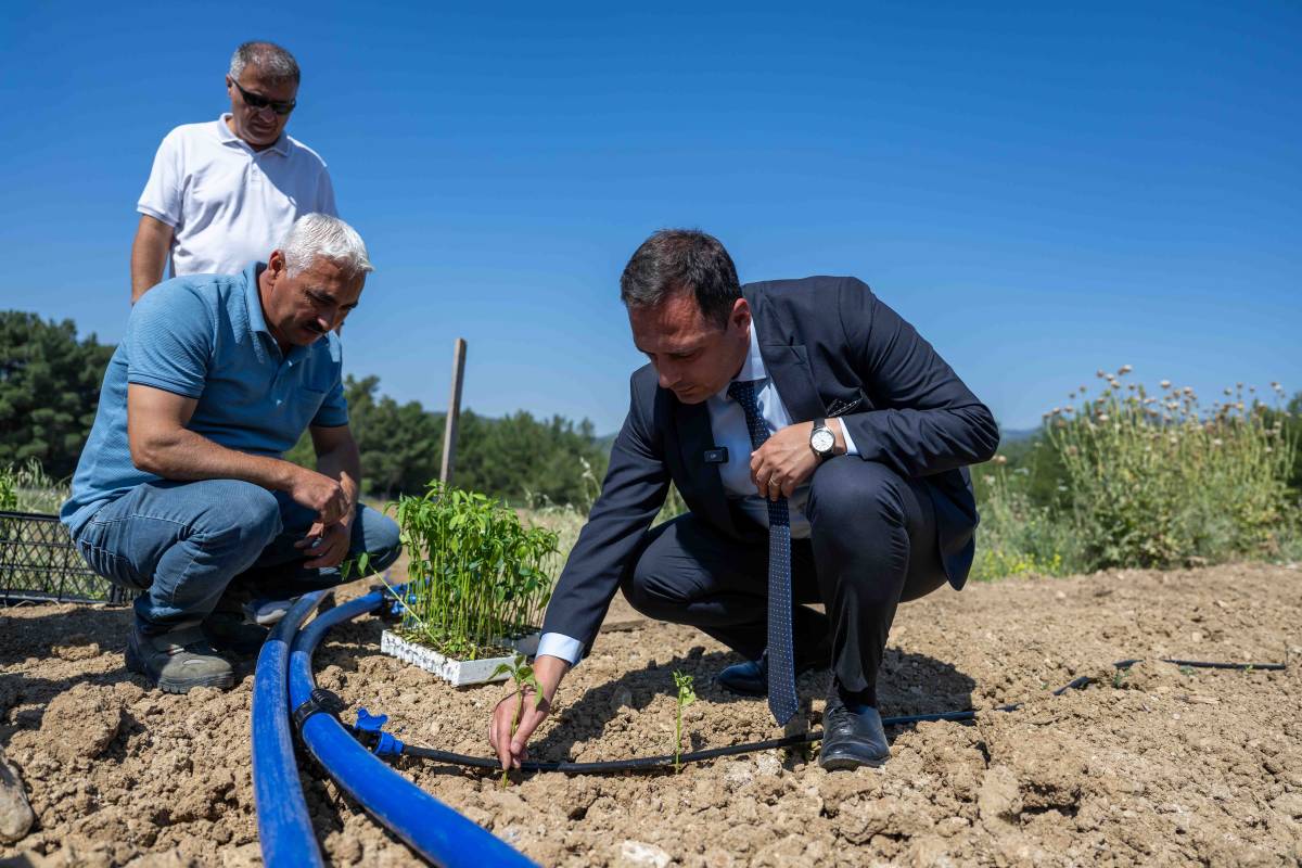 Bornova’da atıl topraklar hayat buluyor