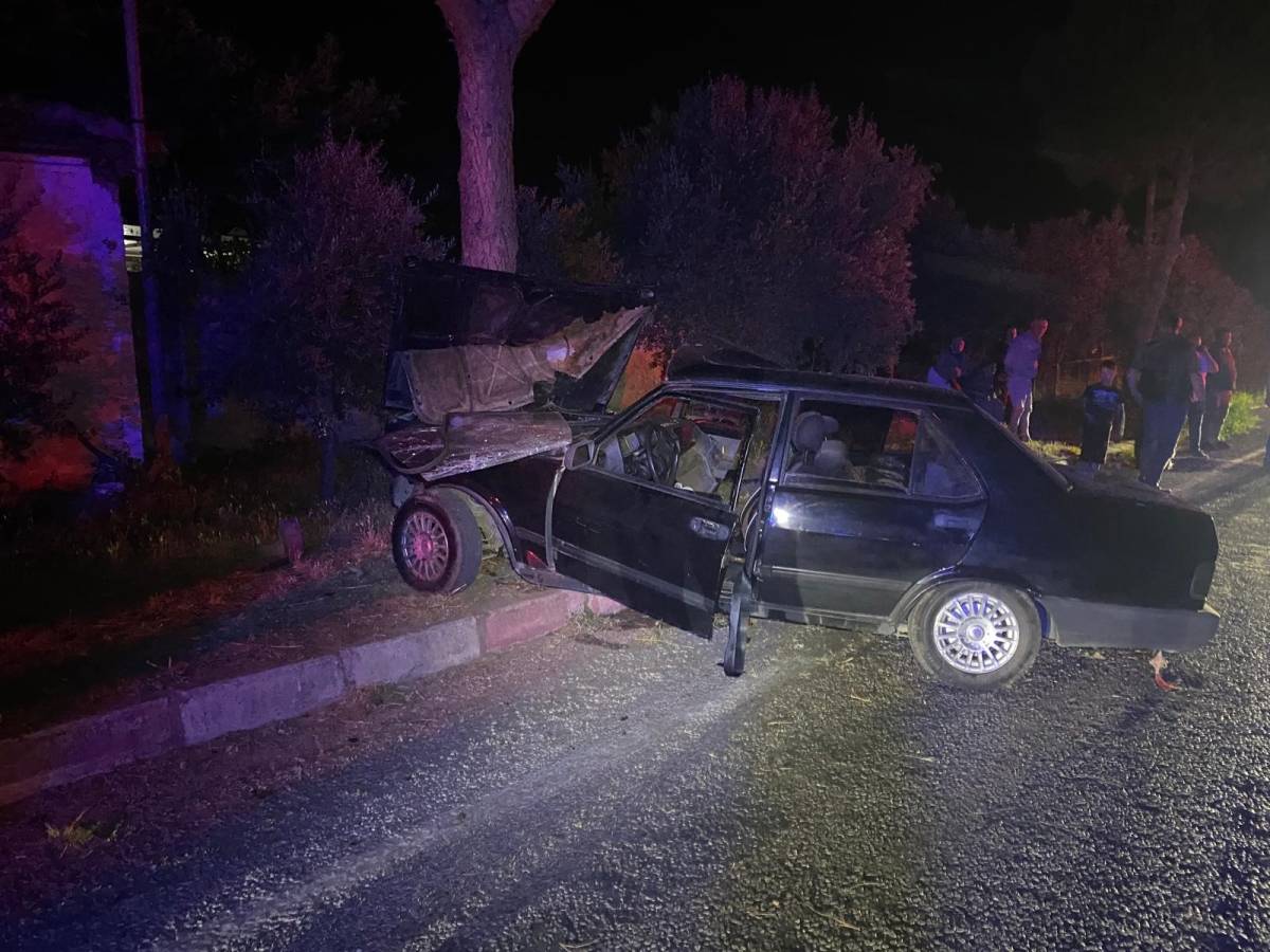 Sokak köpeğinden kaçmak isteyen otomobil ağaca çarptı