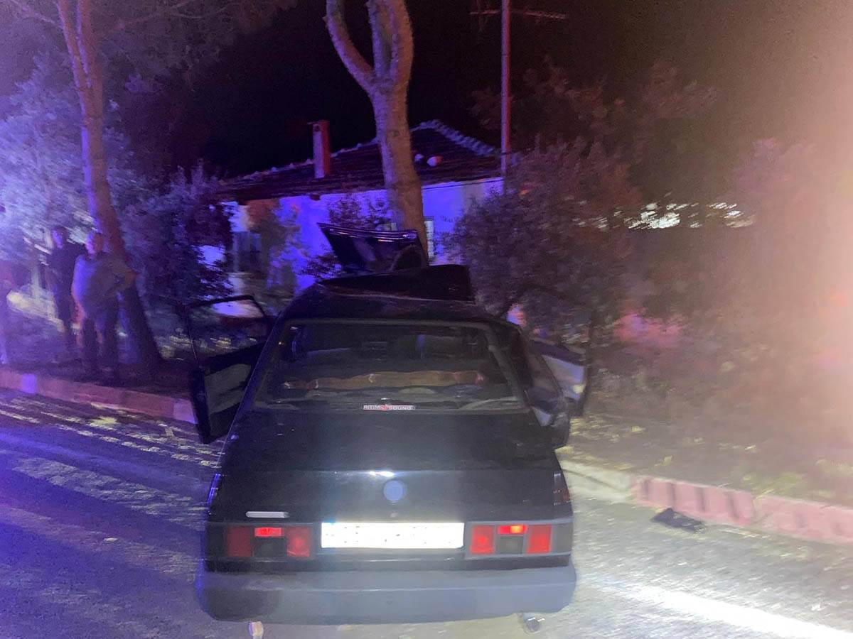 Sokak köpeğinden kaçmak isteyen otomobil ağaca çarptı