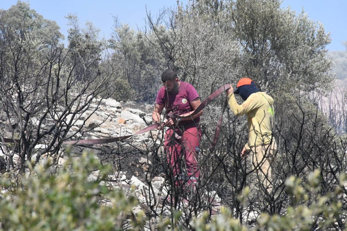 İzmir'de ormanlık alanda çıkan yangın erken müdahaleyle kontrol altında